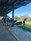 Women's Golf Events - wembley golf course